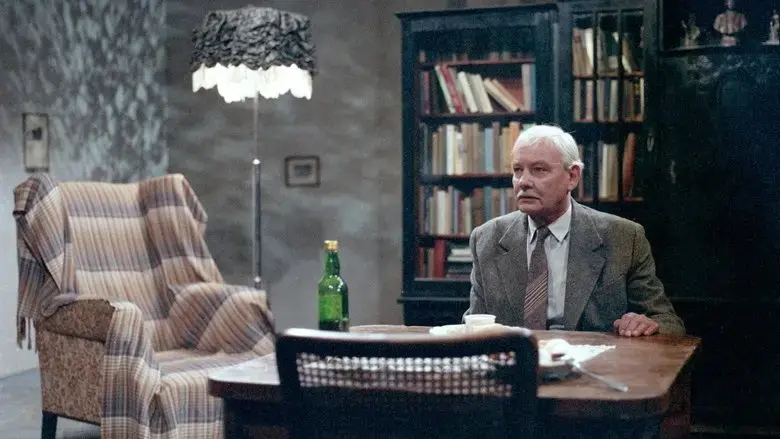 Nocni navsteva (1991)