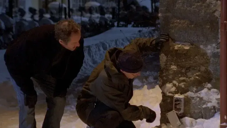 Wallander: The Brothers (2005)