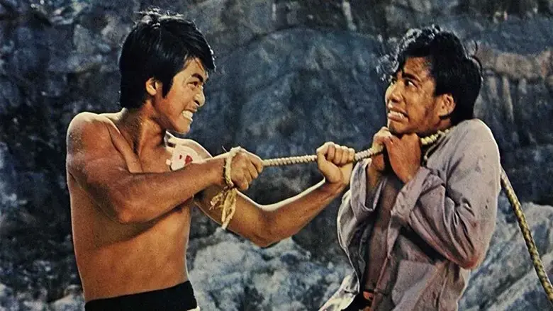 Xiao ba wang (1973)