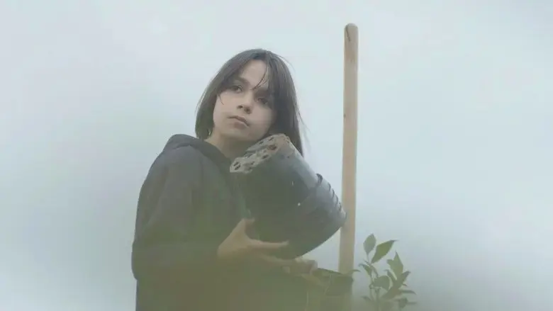 Blueberry Dreams (2024)