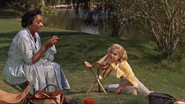 Imitation of Life (1959)
