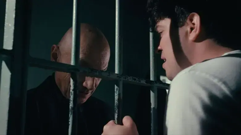 Y rester (2024)