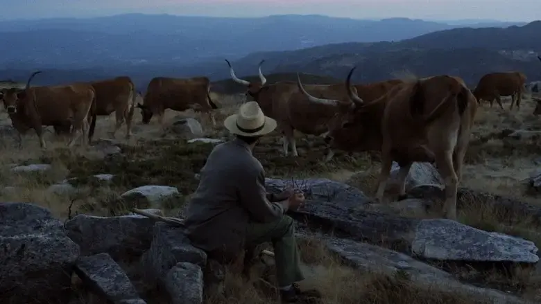 Volta a Terra (2015)