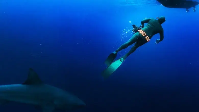 Secrets of the Bull Shark (2020)