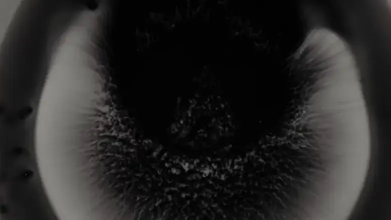 Michael Gira: I Wonder If I'm Singing What You're Thinking Me to Sing (Live Solo 2022) (2025)