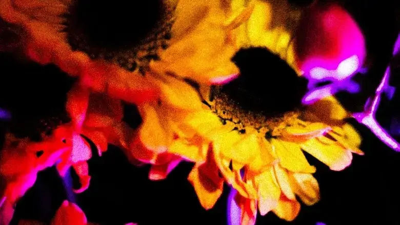 Flowers (II) (2025)