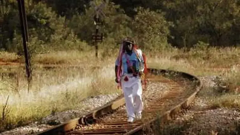 Estrada de Sonhos (2015)