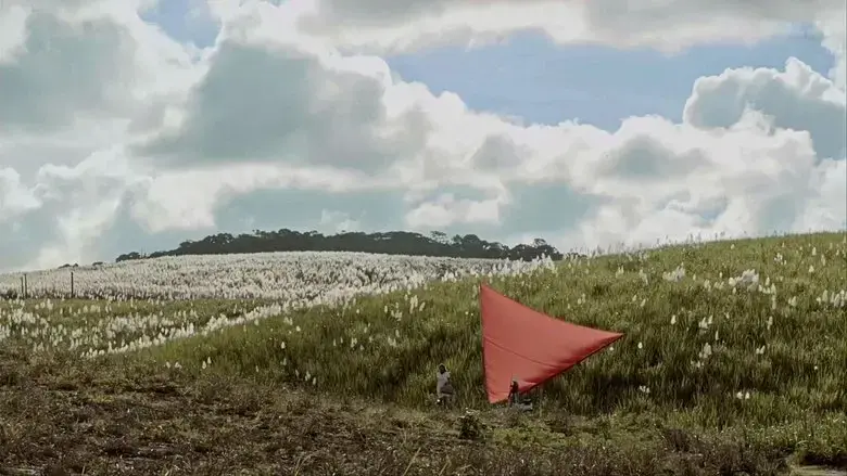 Acucar (2017)