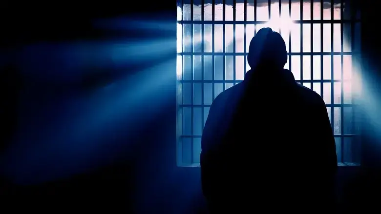 Dutroux, un homme libre ? (2024)