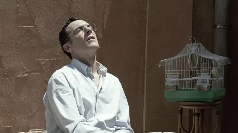 Sicilian Letters (2024)