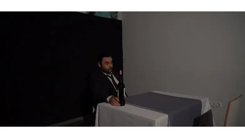 The Curtain of Emotions (2025)