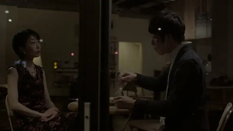 The Widow (2018)