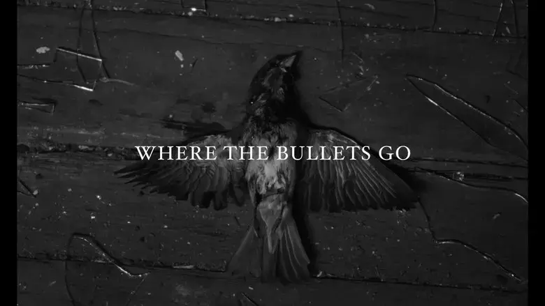 Where the Bullets Go (2024)
