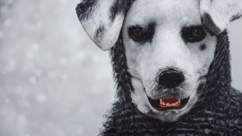 Good Boy (2022)