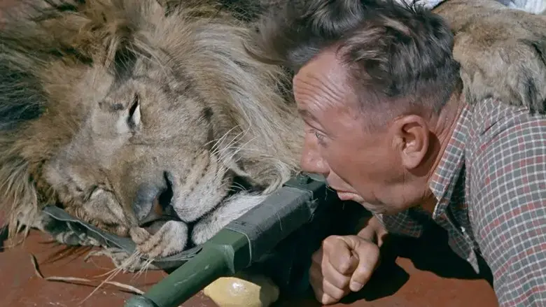 Striped Trip (1961)