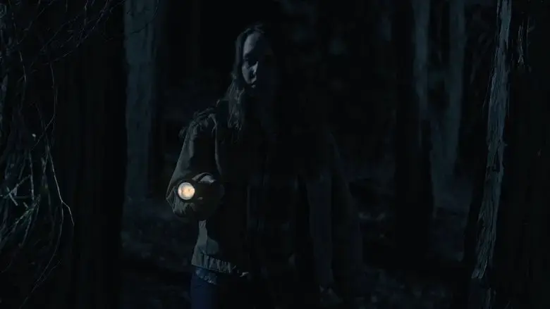 The Lookout (2021)