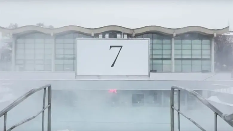 7 (2019)