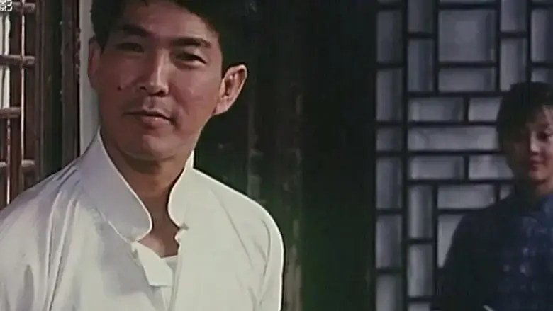 The Hero of Swallow (1996)