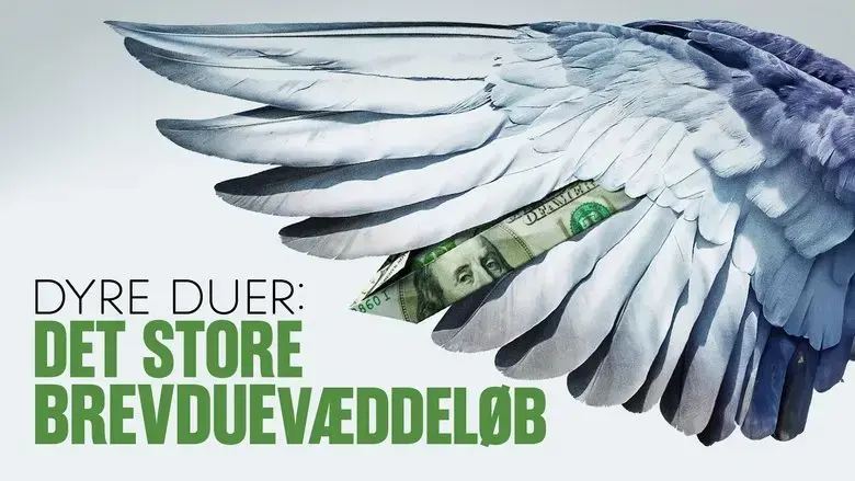 Dyre duer - Det store brevduevaeddelob (2024)