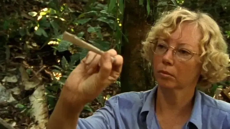 Julianes Sturz in den Dschungel (1999)