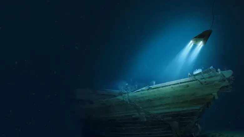 Endurance (2024)