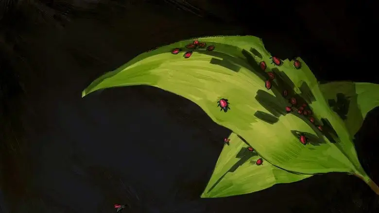 Compost (2024)