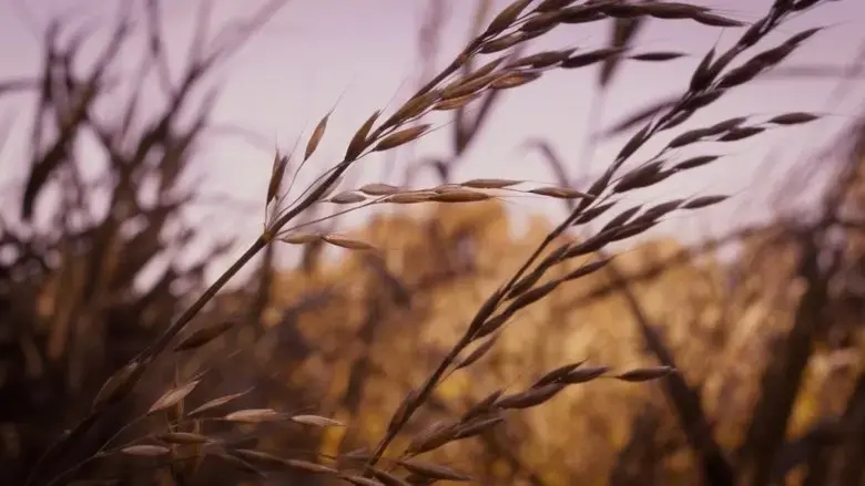 The Sound of the End (2023)