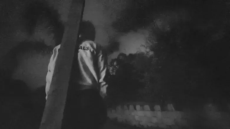 Learning to See in the Dark (2025)