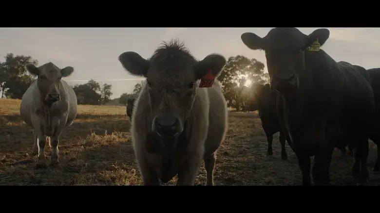With the Cattle (2021)