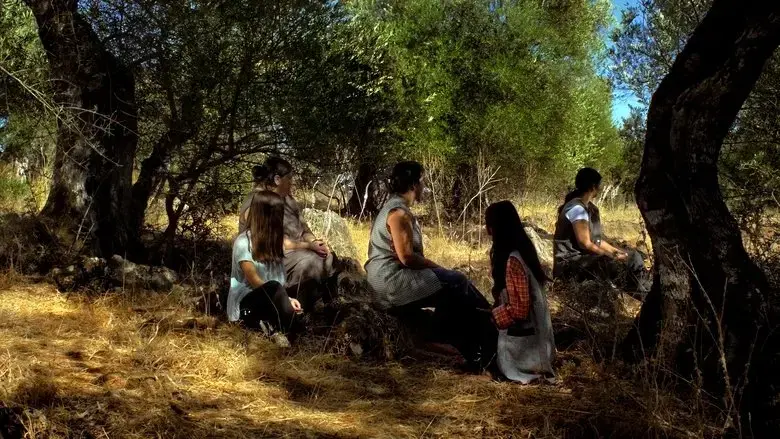 Farpoes, baldios (2017)