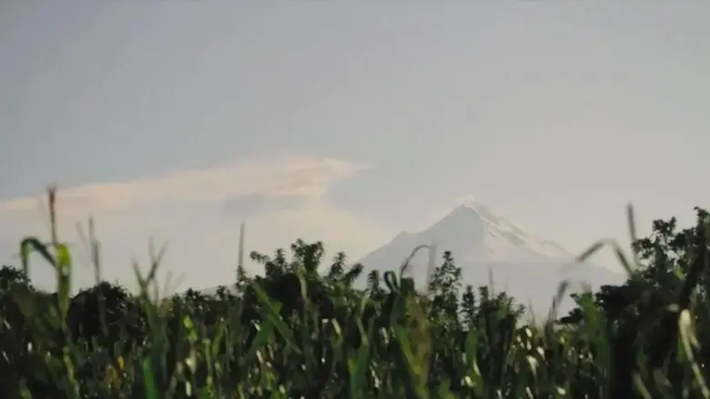 El Nino del Volcan (2022)