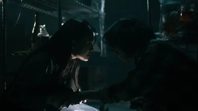 Chiroptera (2025)