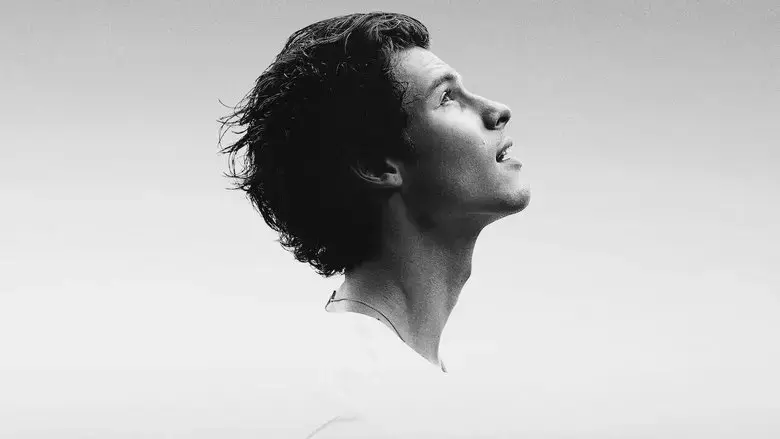 Shawn Mendes: In Wonder (2020)