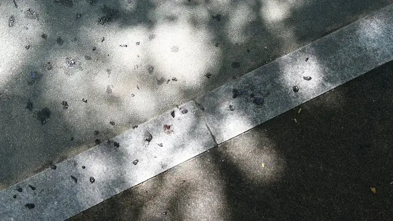 The Quiet Noise (2020)