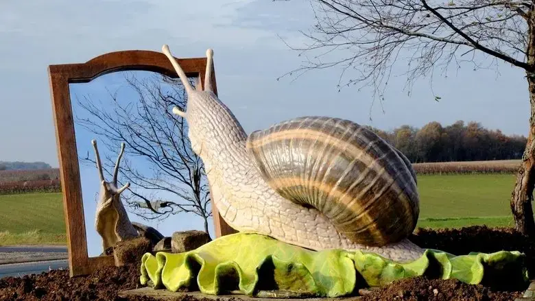 Roundabout Art (2020)