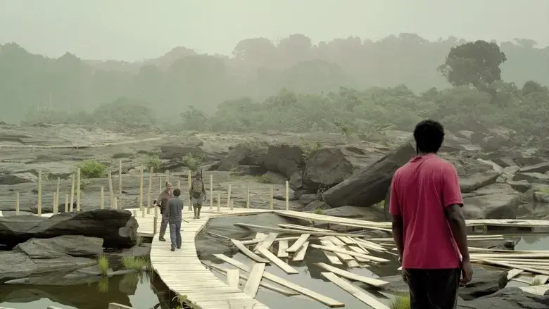 Sleeping Sickness (2011)