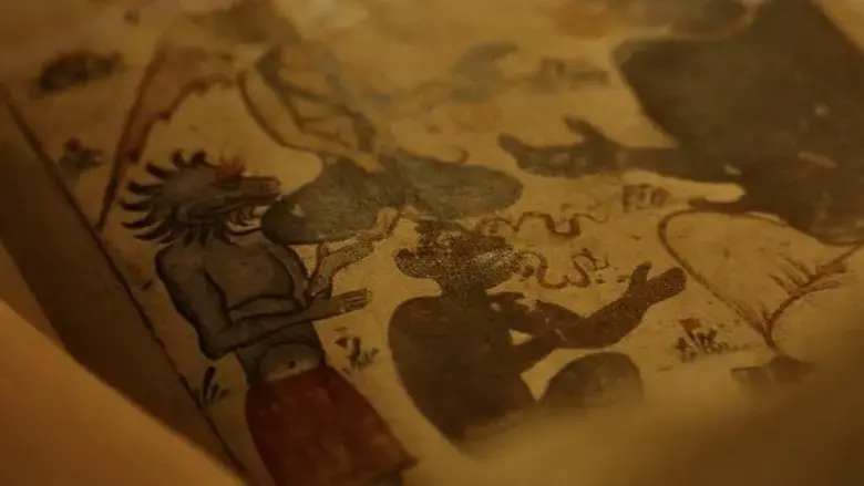 Zana (2019)