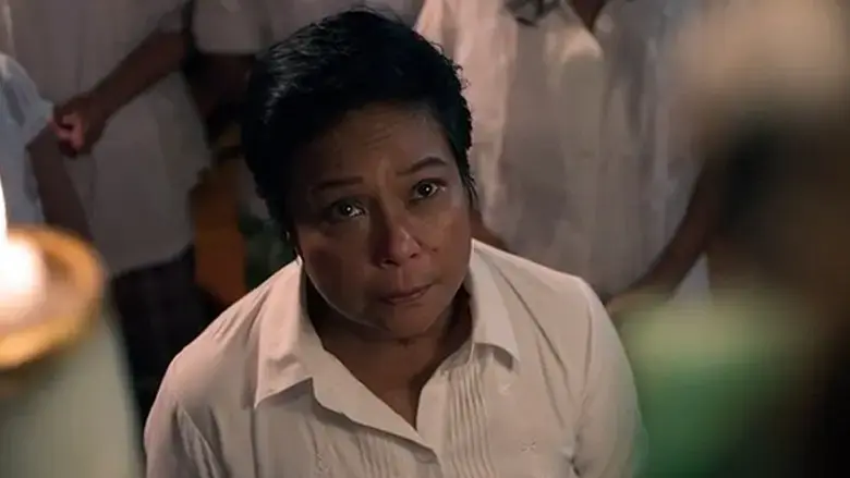 The Patriarch (2013)