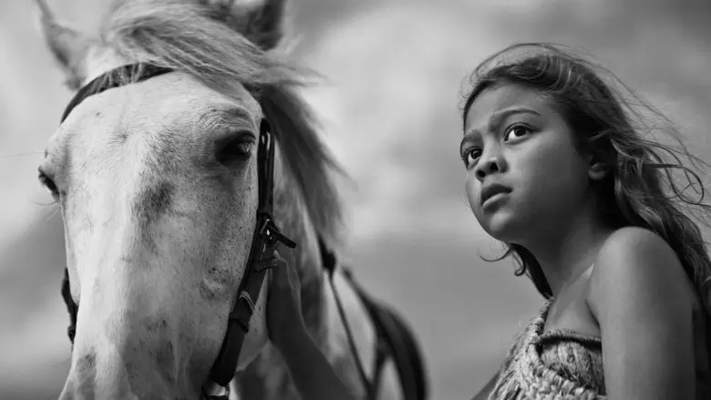 First Horse (2024)