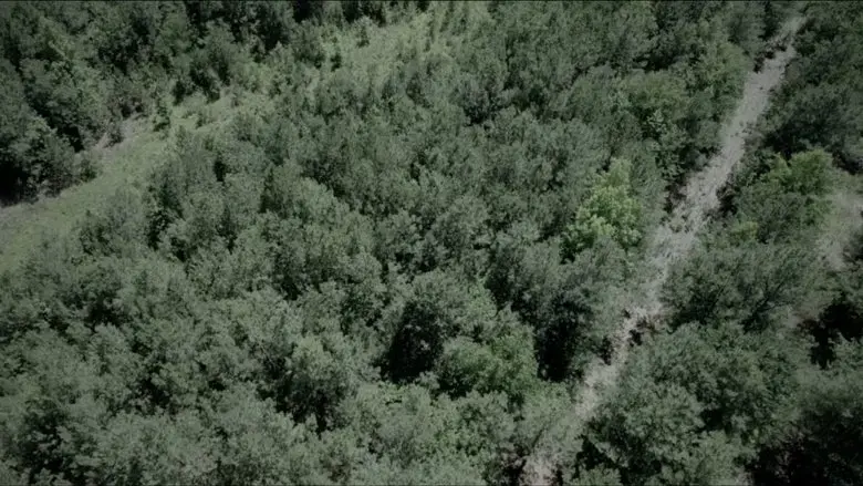 The Boy in the Woods (2023)