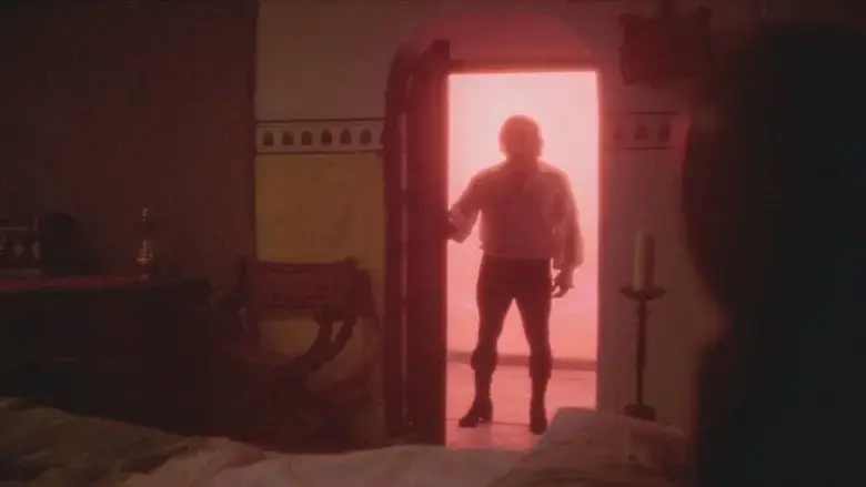 The Traveller (1979)