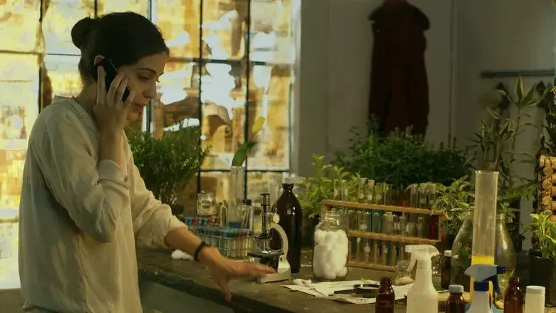 Tulip (2021)