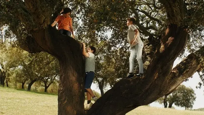 Sara, Manuel e Joao (2024)