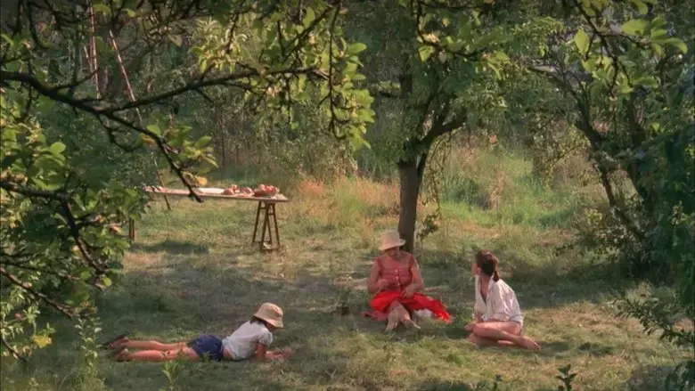Celles qui restent (2022)