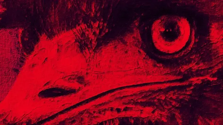 The Dark Emu Story (2023)