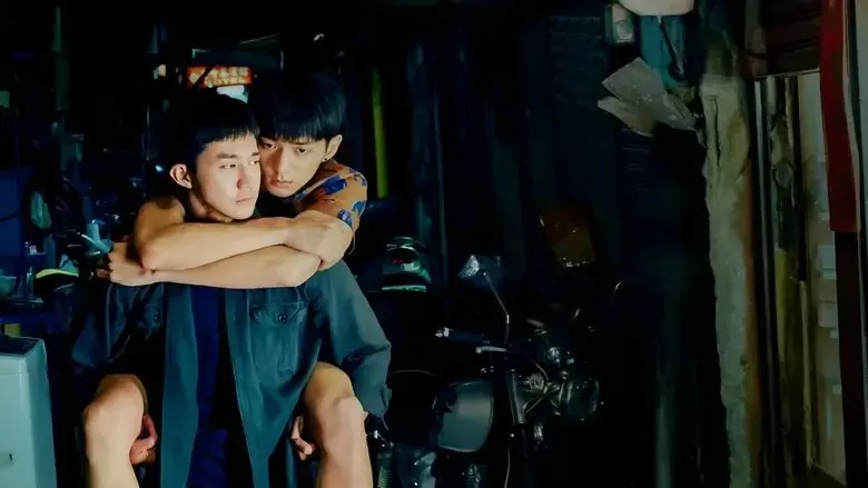 Light (2021)