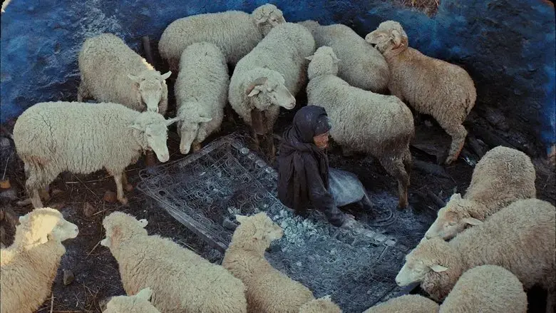 This Is Not a Burial, It's a Resurrection (2020)