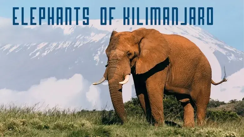 Elephants of Kilimanjaro (2022)