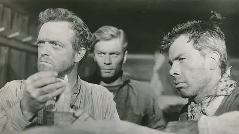 The Raid (1954)