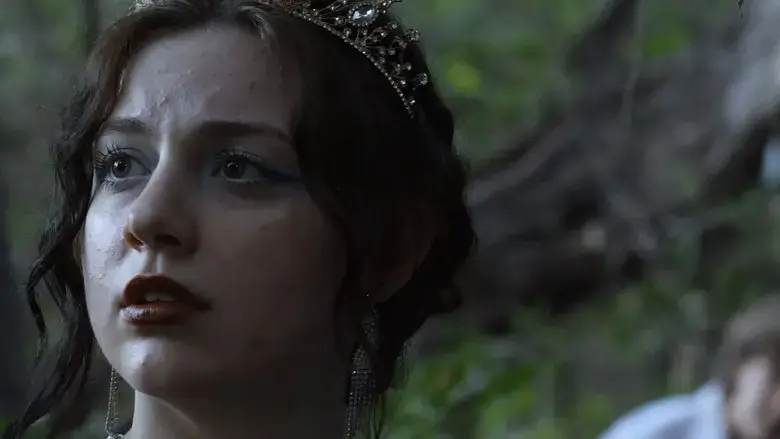 Aurora's Fantasy (2024)